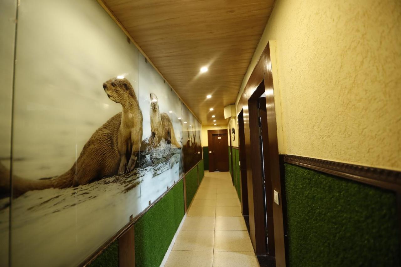 Hotel Kings Inn Массури Экстерьер фото