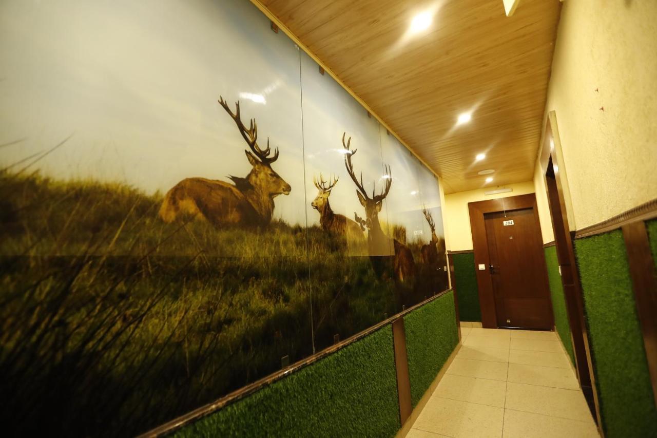 Hotel Kings Inn Массури Экстерьер фото